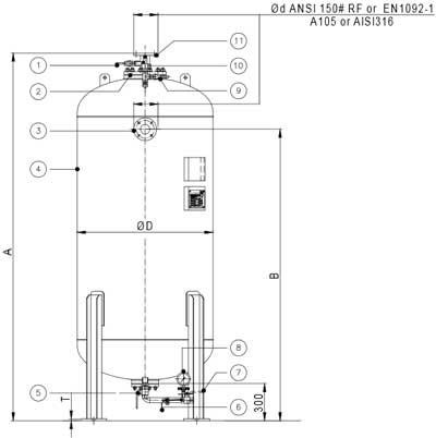 vertical bladder tank without ratio controller